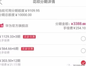 白条付费额度怎么套 取的