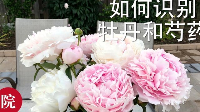 用花呗套付款可靠吗是真的吗