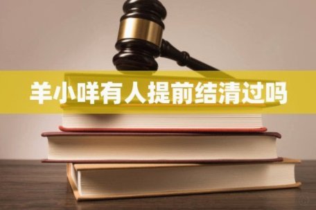 羊小咩怎么提前结清