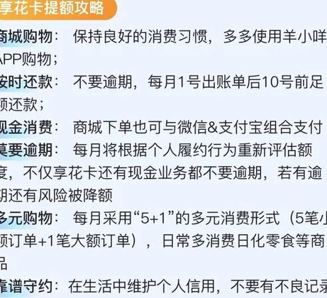 羊小咩贷款App风险与机遇解析