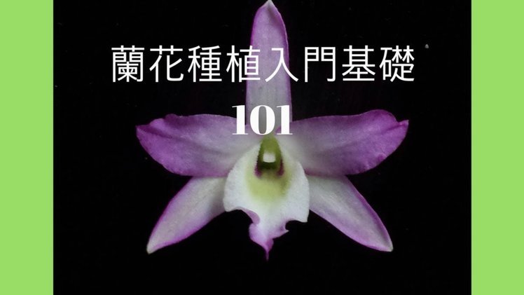 花呗套现合法吗？现在的答案在这里