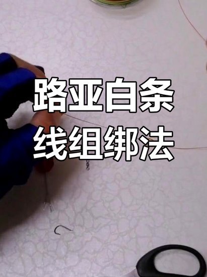 如何安全应对白条套现风险