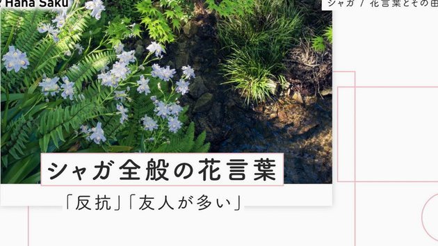 套现花呗多少手续费啊