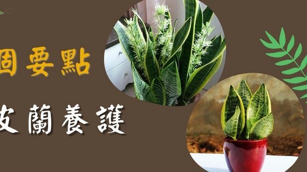 花呗借款：谨慎“换现”的妙招