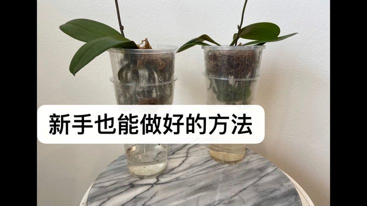 拿去花额度换现方法
