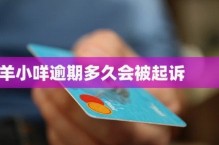 羊小咩贷款是网贷吗