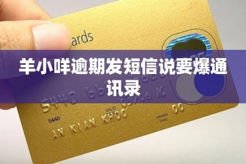 羊小咩贷款是网贷吗