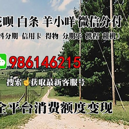 羊小咩消费额度如何高效累积