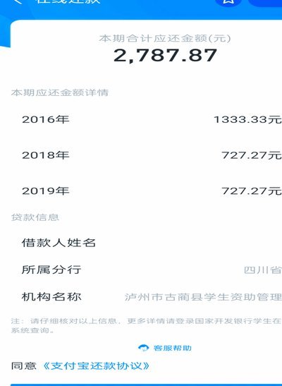 白条怎么提前还款全部分期账单
