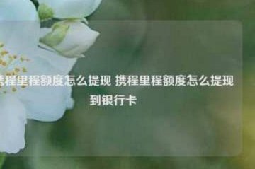 携程拿去花取现到账时间揭秘