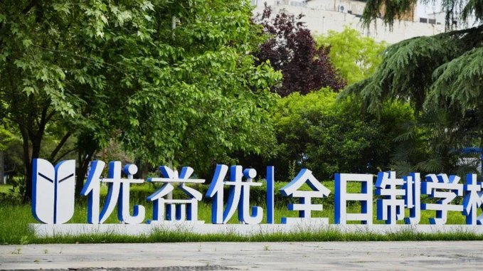 深度解析与专业评估
