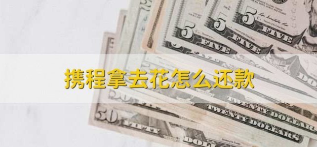 携程拿去花提现商家 出来的钱