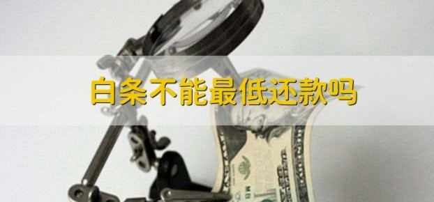 白条怎么提前还款？全平台详细解答