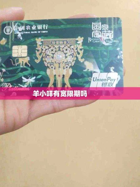 羊小咩：内容共创新平台