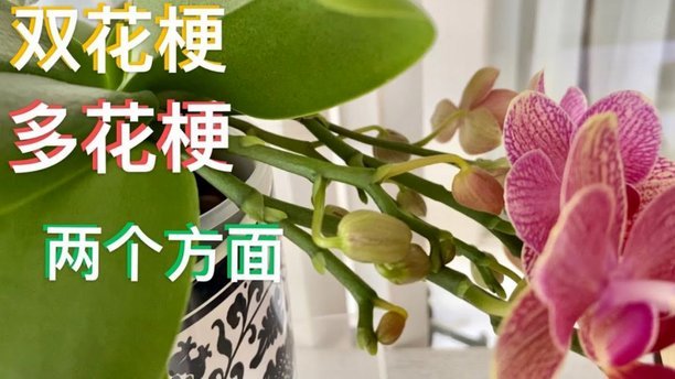 花呗1500元套现费用揭秘