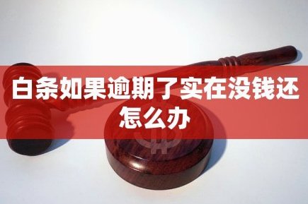 白条申请全攻略：轻松获取信用额度