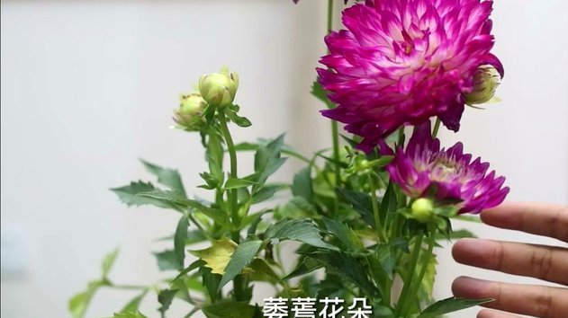 2021拿去花自己怎么套