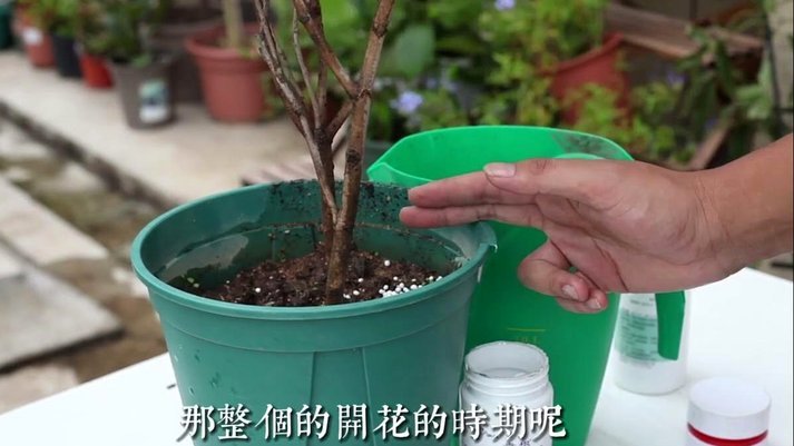 携程拿去花支付全流程详解
