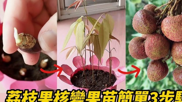 有没有人便荔卡套现成功