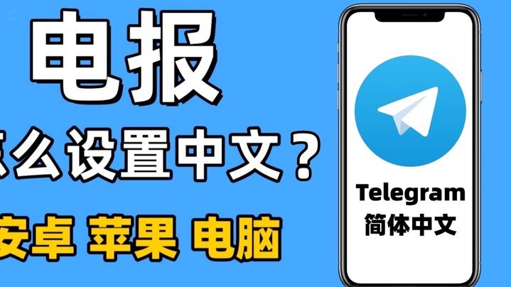 轻松查白条还款记录