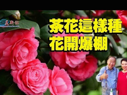 携程拿去花还款怎么操作