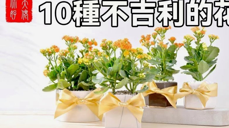 携程上拿去花怎么还款