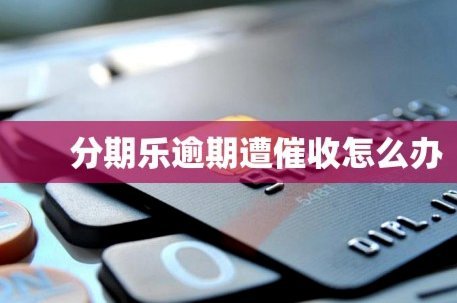 分期乐服务咨询指南