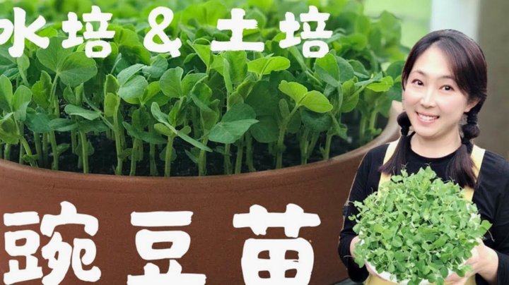 拿去花取现能分期还款吗？