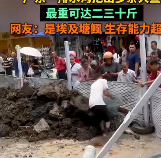 企业运营的成本密码：从显性到隐形的全景解析