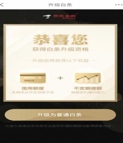 京东白条付费额度怎么套出来