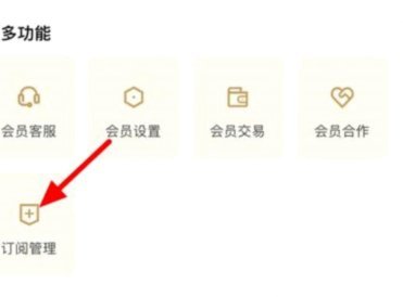 极速会员关闭指南