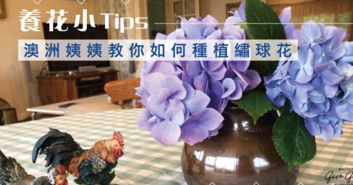 套花呗的高阶技巧