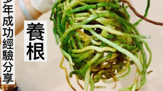 如何可以套花呗的钱
