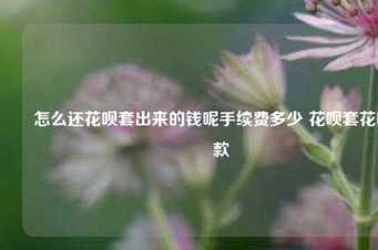套花呗多钱收手续费