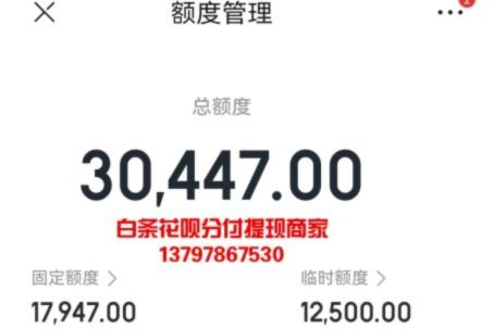 白条的加油额度怎么套不出来