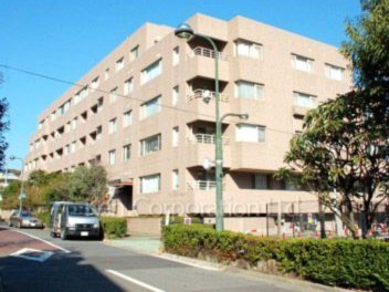 携程拿去花支付为何受限解析
