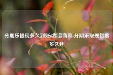 分期乐取现多久到账？看完这篇你就知道了