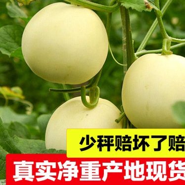 分期乐取现多久到账