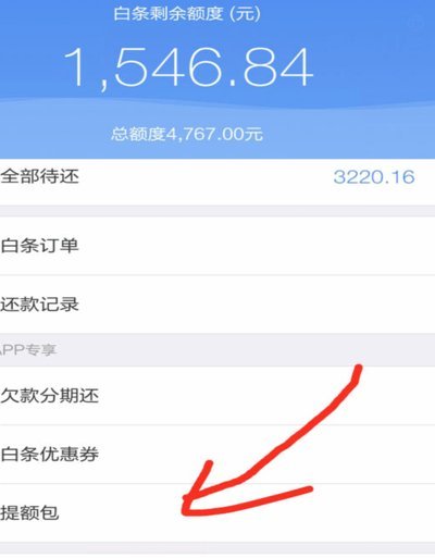 如何轻松还清白条