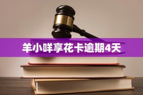 30号下单为何算当月账单？揭晓背后逻辑