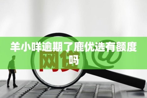 鹿优选怎么查看额度