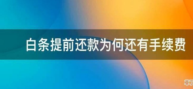 白条怎样提前还款全部还清