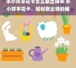 羊小咩取现：解锁资金通道