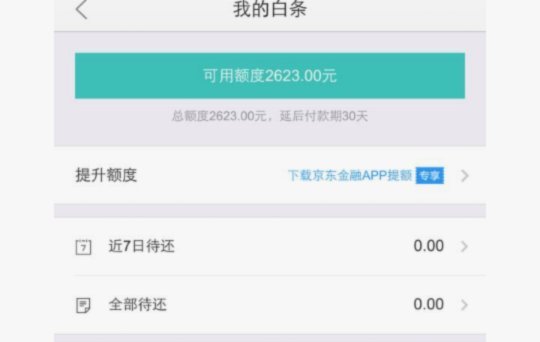白条临时额度28天有效期