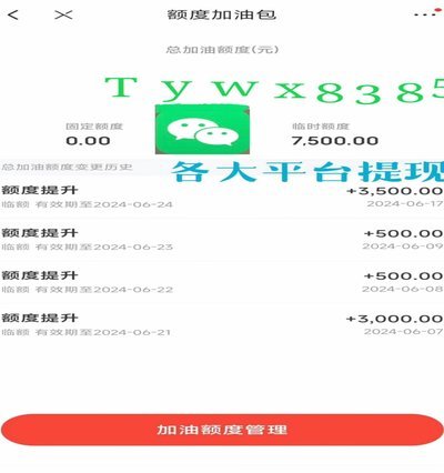 白条加油额度怎么合理利用