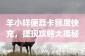 便荔卡额度受限怎么办？