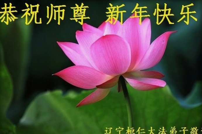 拿去花去哪找？一文读懂正规渠道与风险提示