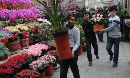 规则漏洞：玩家的“花招”